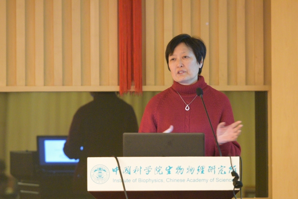 北京大学顾红雅教授做报告