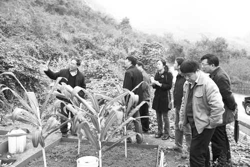 ①王克林（左一）向专家介绍干扰胁迫下石灰土养分快速流失机制研究进展。（亚热带农业所供图）