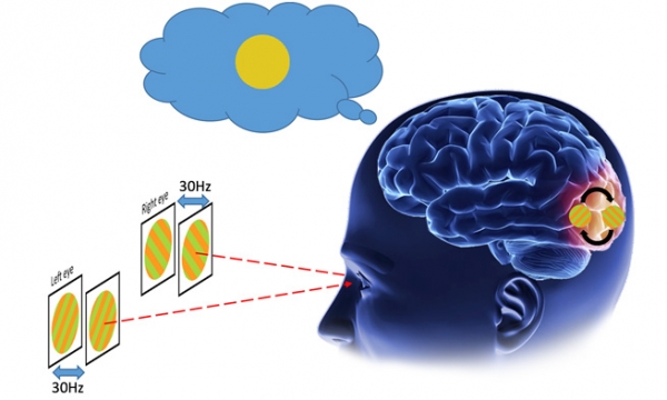 生物物理所科学家发现人脑早期视觉皮层在意识下解决不可见的视觉冲突
