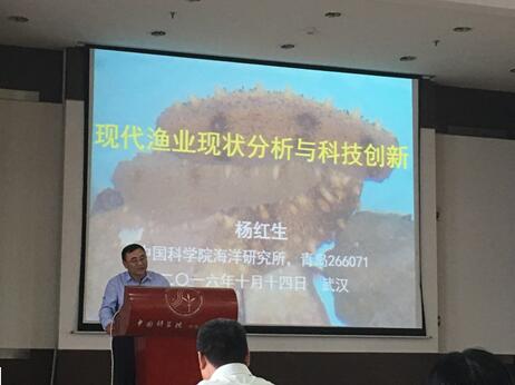 杨红生研究员报告现场