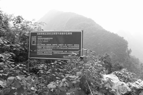 ③喀斯特峰丛洼地生态恢复与重建示范基地。（王晨绯摄）