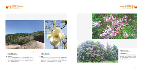 2017.5.26  23-23  画册-第一部分--修改--最终稿_0012.jpg