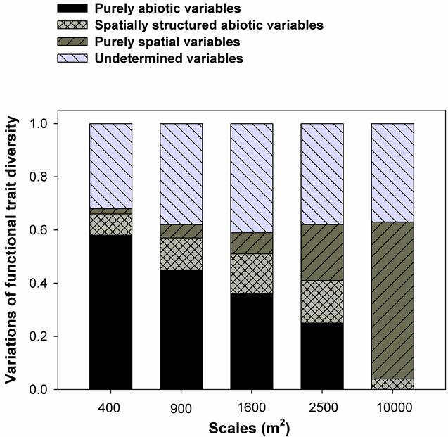 80107213 1