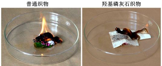 　　图5. 普通织物（左）和羟基磷灰石超长纳米线柔性耐火织物（右，中间层）的阻燃效果。普通织物快速燃烧殃及下层鲜花；而羟基磷灰石超长纳米线柔性耐火织物不燃烧且阻燃，并具有良好的隔热性能，可以很好地保护下层鲜花。 