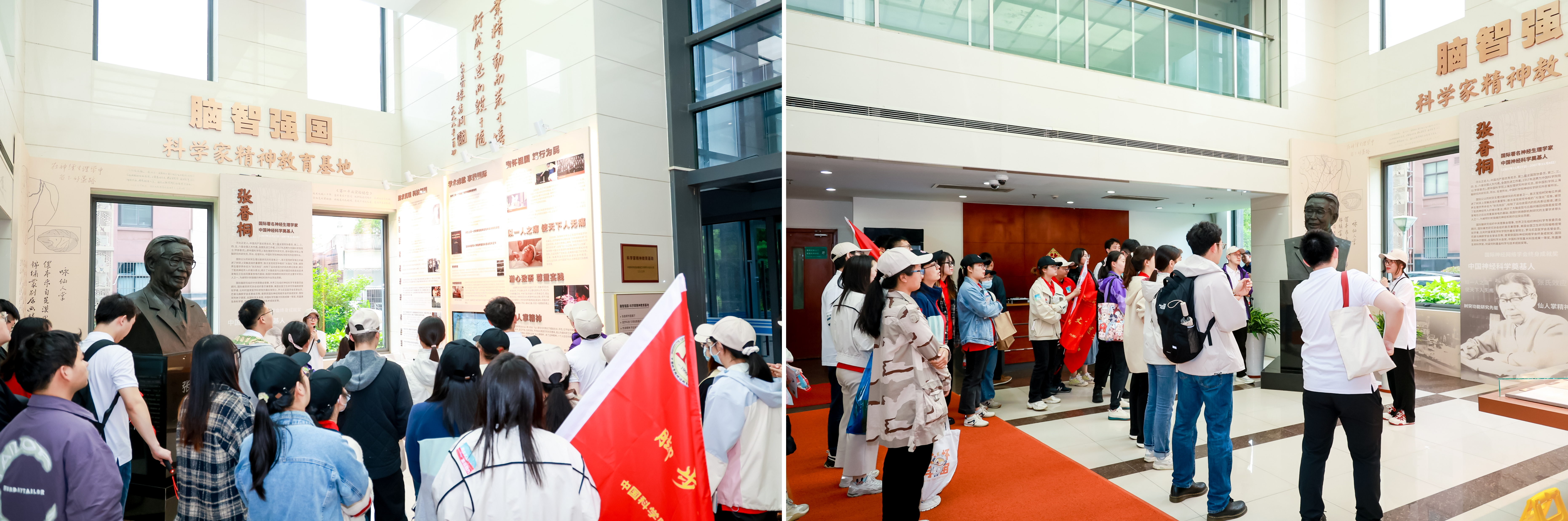 脑智.png