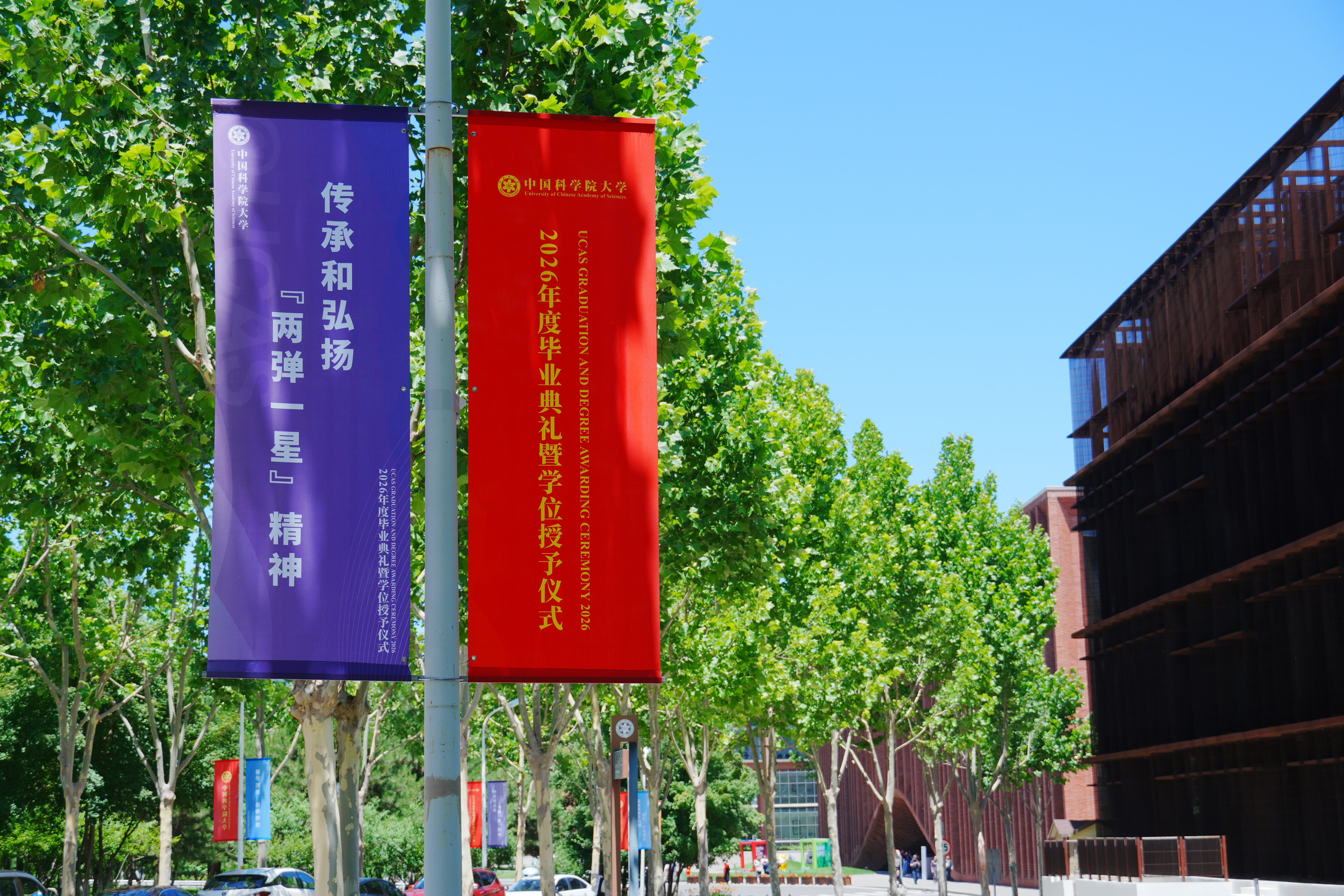 DSC00790.JPG