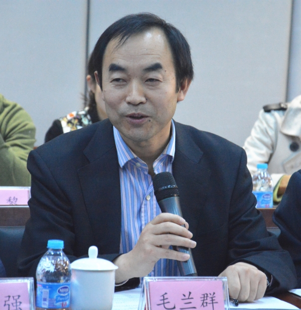 化学所毛兰群副所长发言